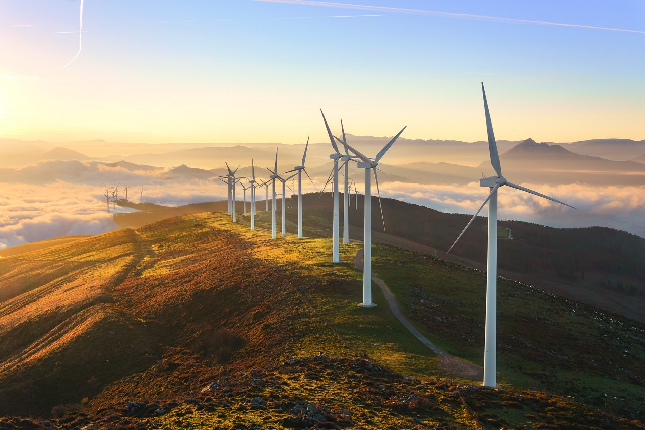 Branchenbild_081019_Erneuerbare_Energien_WEB